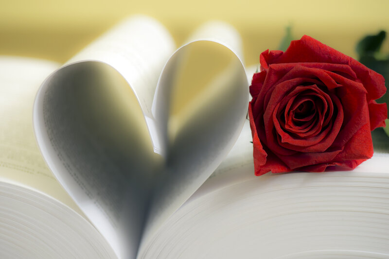 Red Rose on Book — Romantic, Photograph, Heart Shape