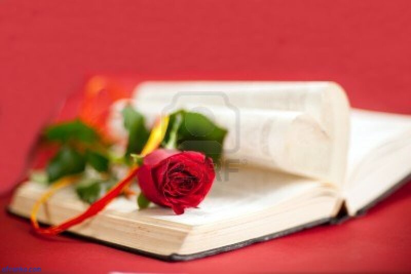 Red Rose on Book — Romantic, Photograph, Ribbon