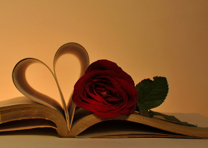 Red Rose on Book — Romantic, Photograph