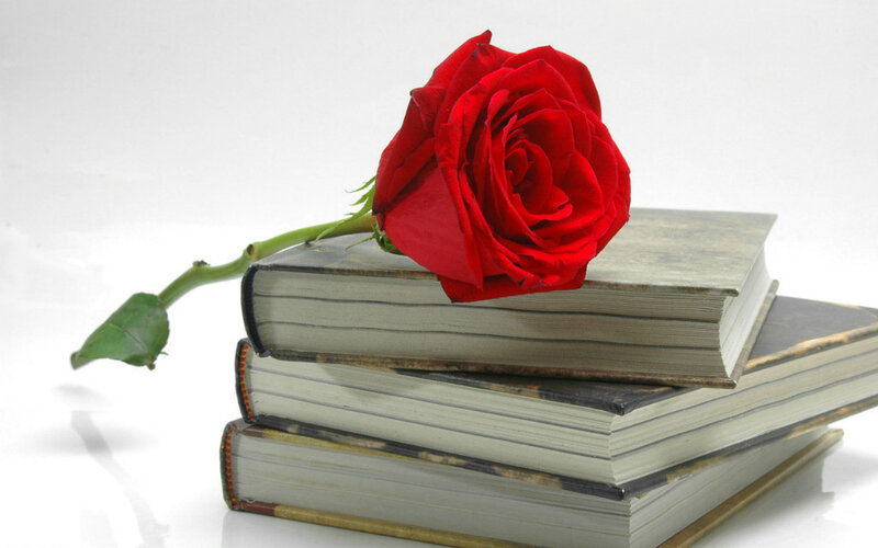 Red Rose on Books — Serene, Photograph