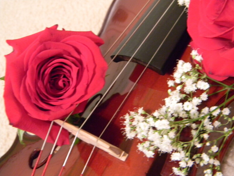 Red Rose on Cello