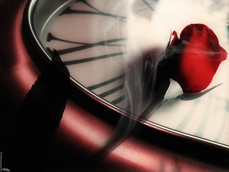 Red Rose on Clock