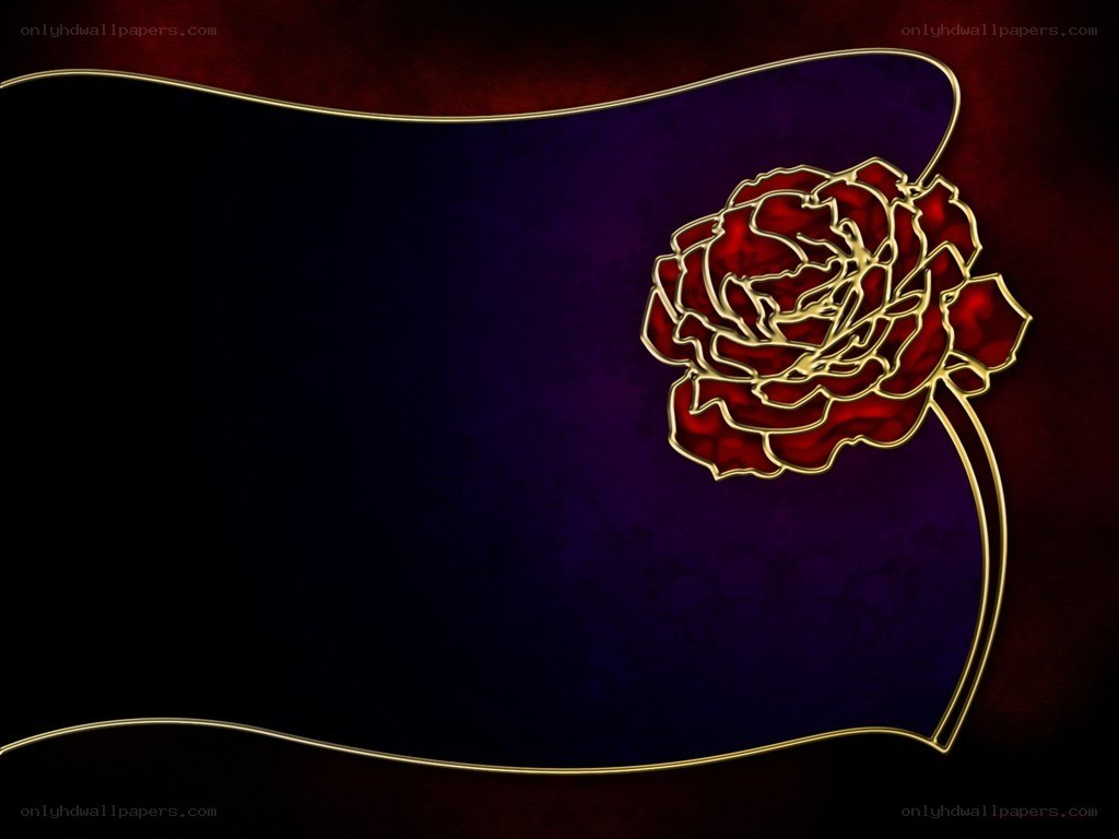 red rose on dark background