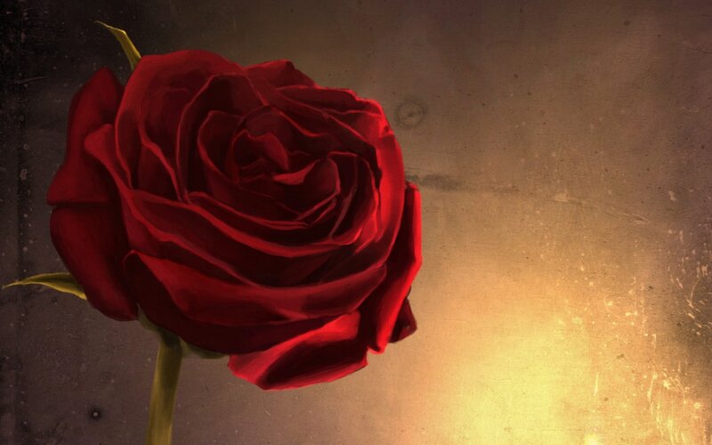 Red Rose on Dark Background — Dramatic, Digital Art