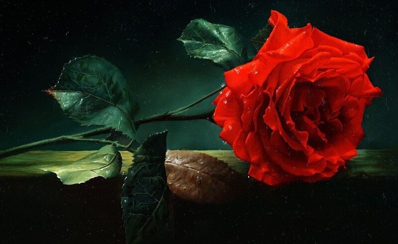 Red Rose on Dark Surface — Dramatic, Night, Painting, Leaf