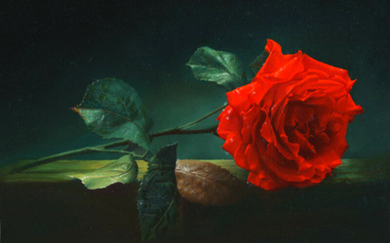 Red Rose on Dark Surface — Dramatic, Painting, Leaf