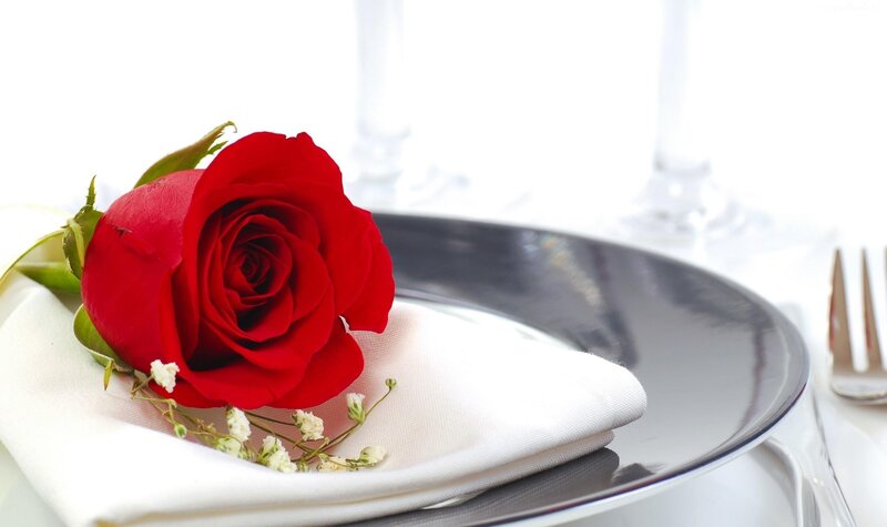 Red rose on dinner plate