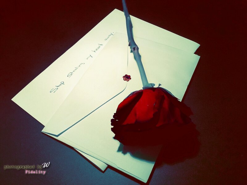 Red Rose on Envelopes