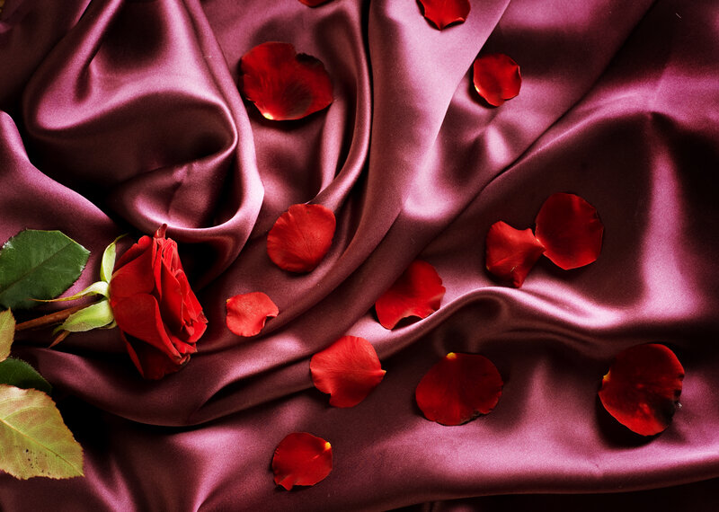 Red Rose on Fabric — Romantic