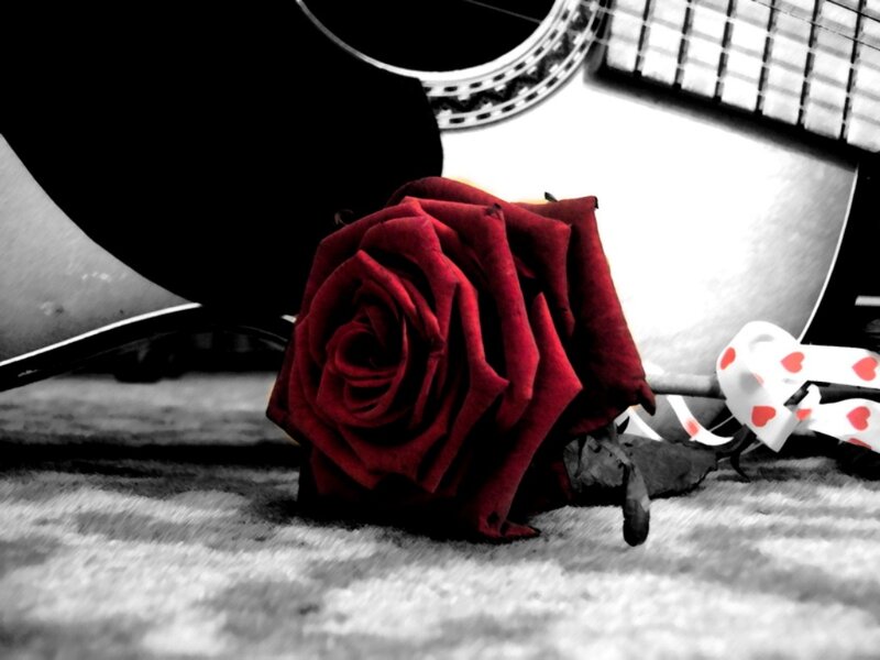 Red Rose on Floor — Dramatic