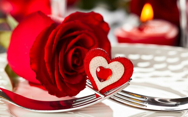 Red Rose on Fork — Romantic