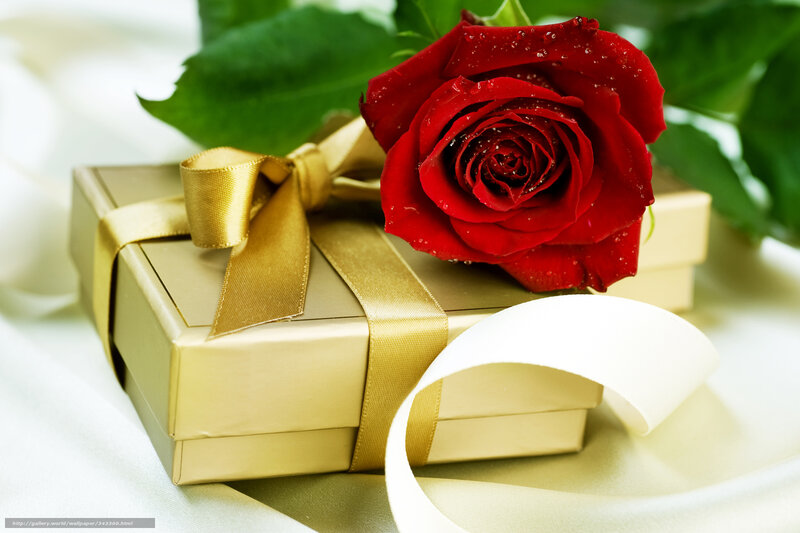 Red Rose on Gift Box — Romantic, Photograph, Gift Box, Ribbon