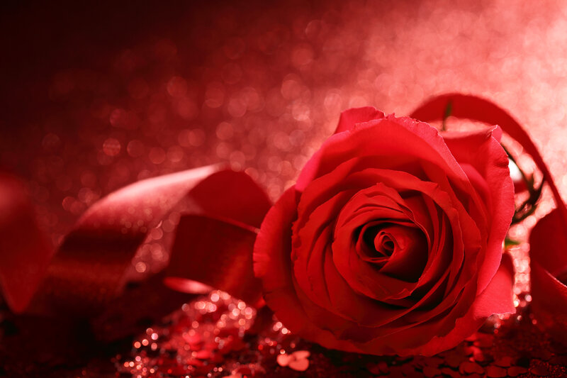 Red Rose on Glitter — Romantic, Photograph