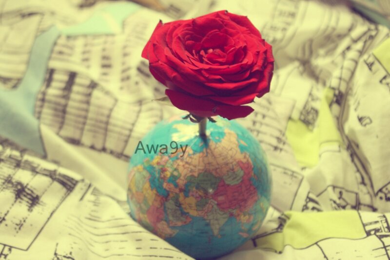 Red Rose on Globe
