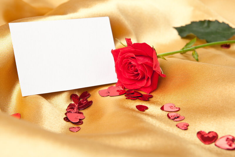 Red Rose on Gold Fabric