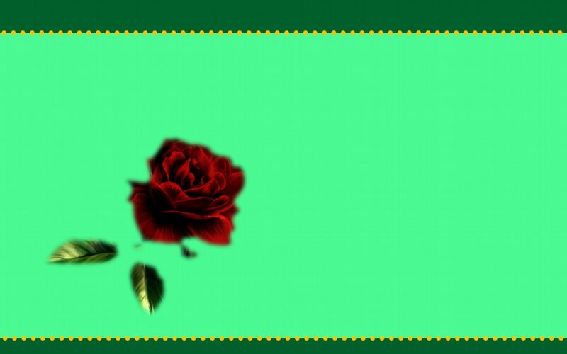Red Rose on Green — Calm, Digital Art