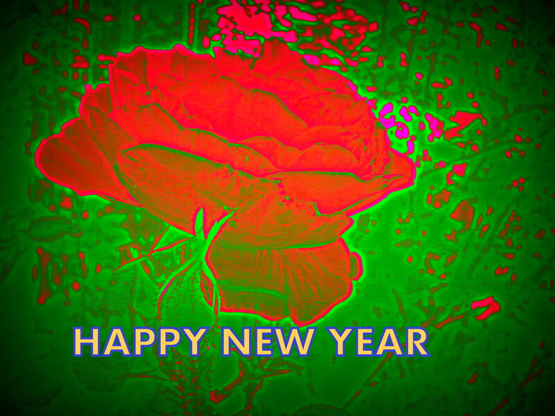 Red Rose on Green