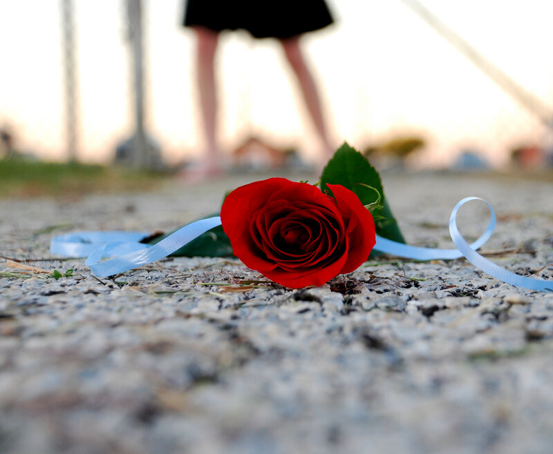Red Rose on Ground