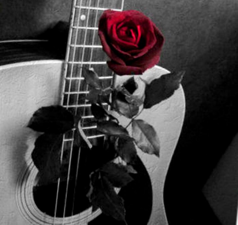Red Rose on Guitar — Black