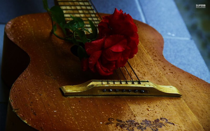 Red Rose on Guitar — Brown