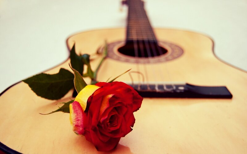 Red Rose on Guitar — Calm, Photograph