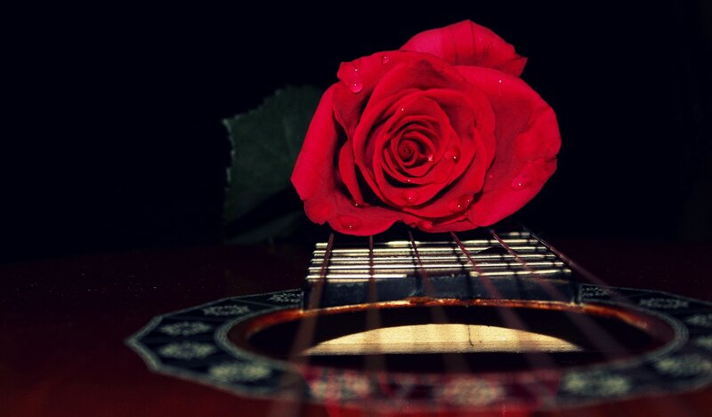 Red Rose on Guitar — Dramatic, Night
