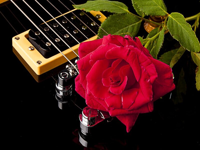 Red Rose on Guitar — Dramatic, Photograph, Leaves