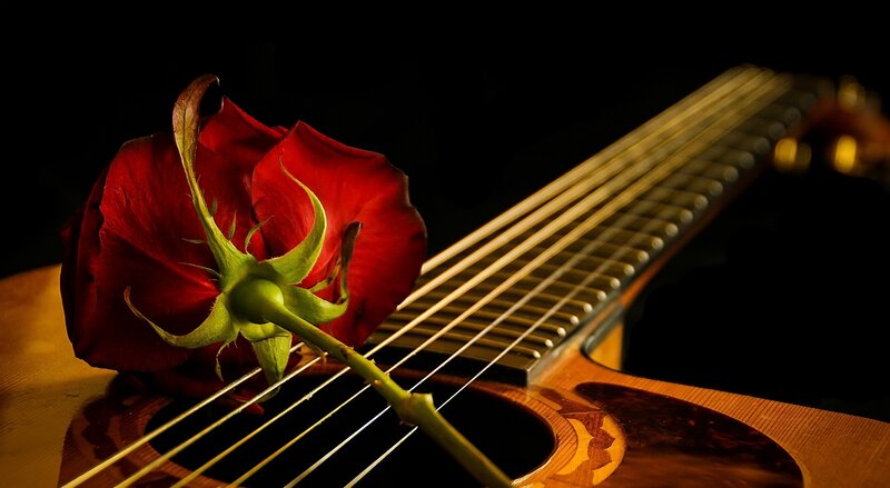 Red Rose on Guitar — Dramatic, Photograph, Strings