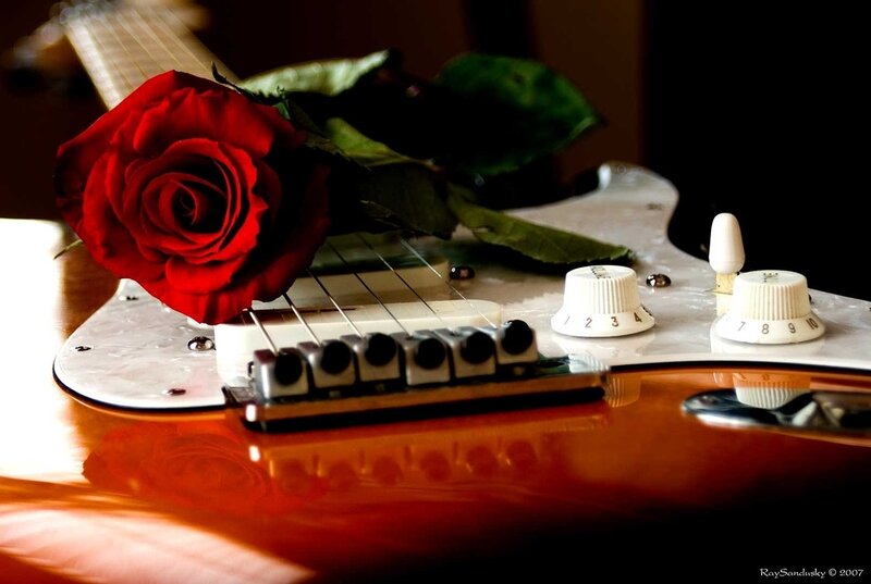 Red Rose on Guitar — Dramatic, Photograph