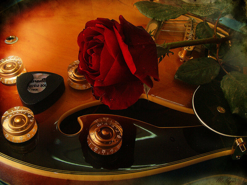 Red Rose on Guitar — Dramatic