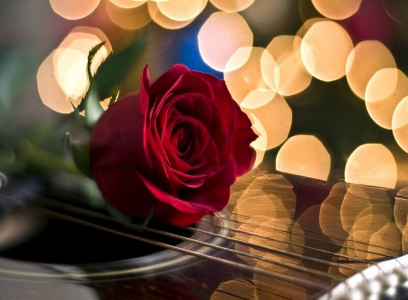 Red Rose on Guitar — Romantic