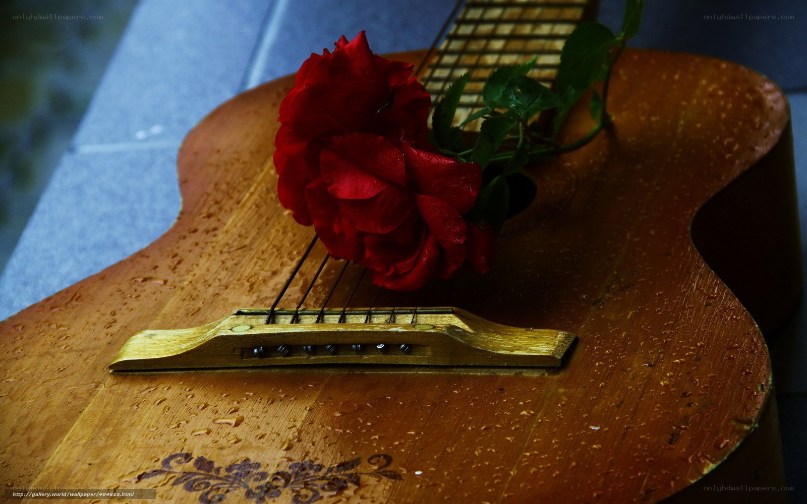 Red rose on guitar