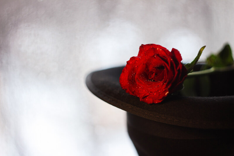 Red Rose on Hat