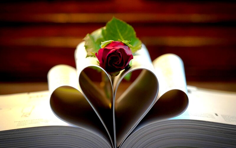 Red Rose on Heart-shaped Book