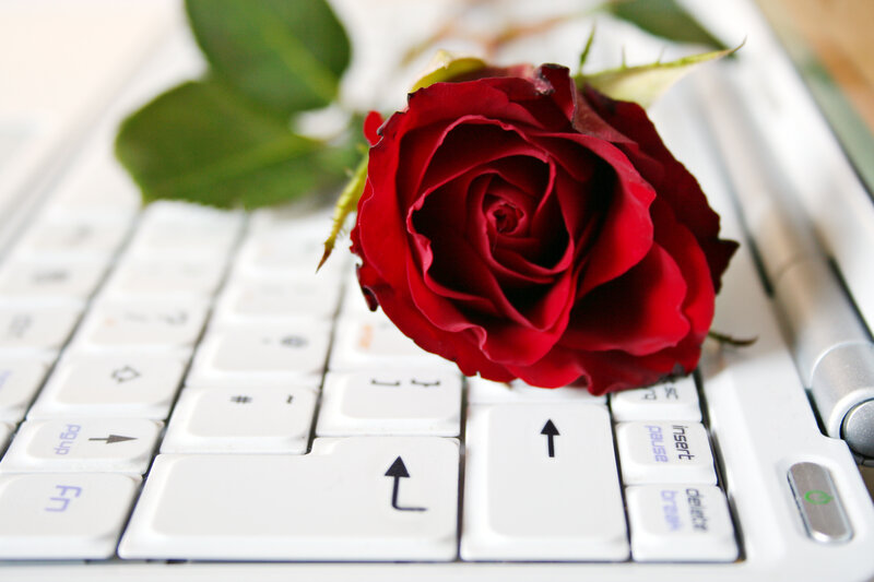 Red Rose on Keyboard — Calm, Photograph, Pen