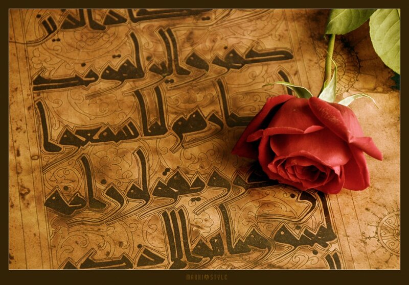 Red Rose on Manuscript