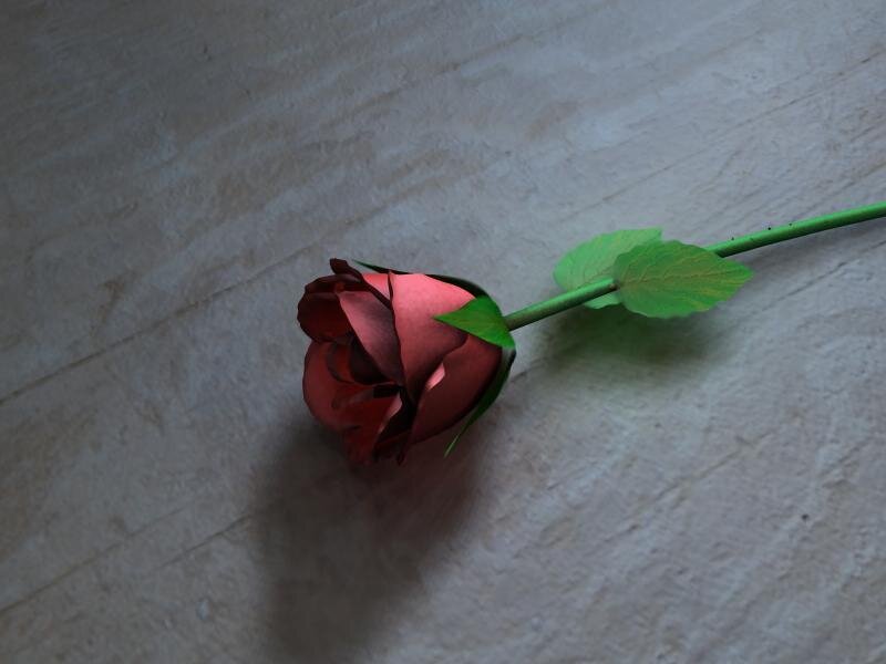 red rose on marble surface