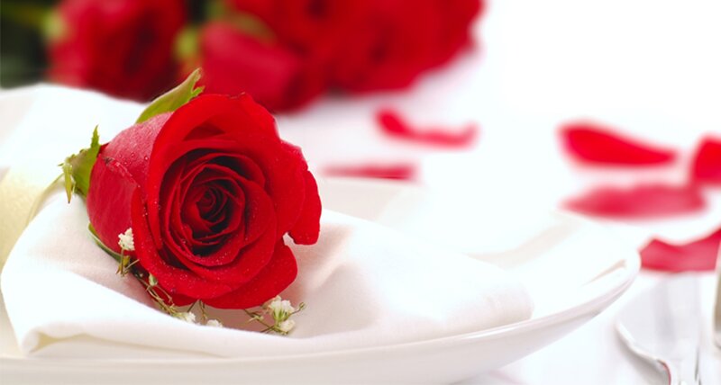 Red Rose on Napkin — Romantic, Photograph