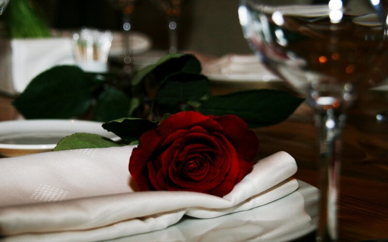 Red Rose on Napkin — Romantic