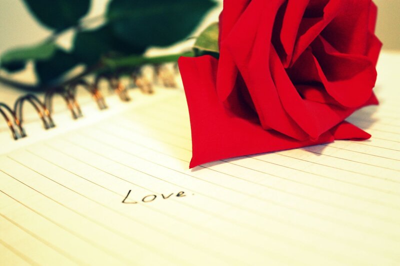 Red Rose on Notebook — Romantic, Photograph