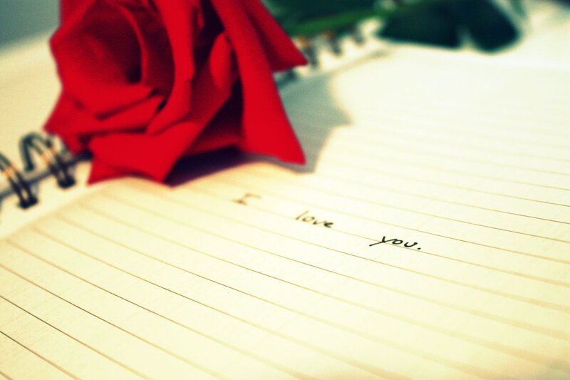 Red Rose on Notebook — Romantic