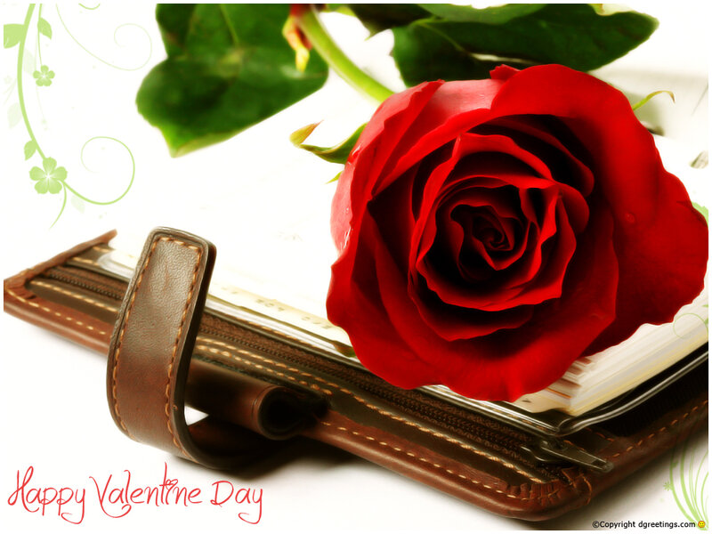 Red Rose on Notebook