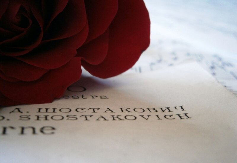 Red Rose on Paper — Calm