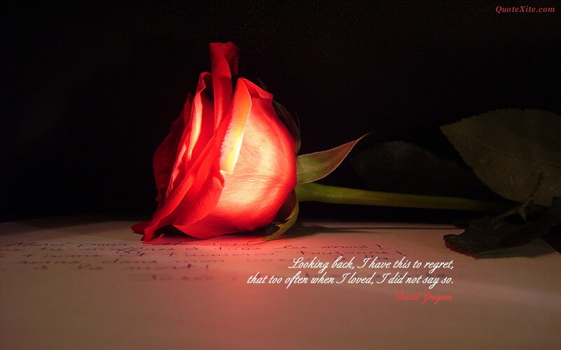 Red Rose on Paper — Dramatic, Night, Photograph, Leaf