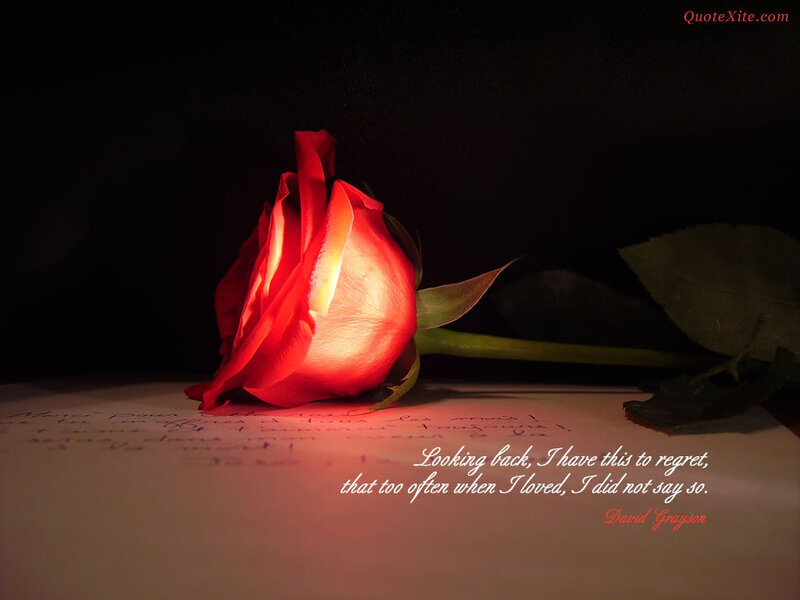 Red Rose on Paper — Dramatic, Night, Photograph