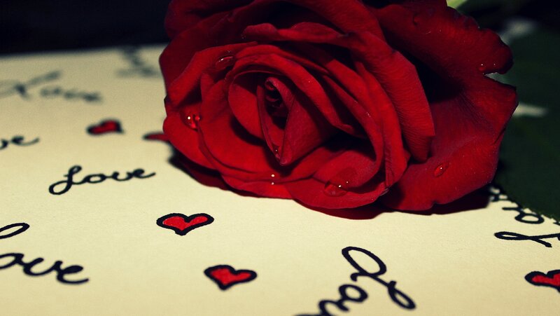 Red Rose on Paper — Romantic, Photograph, Heart