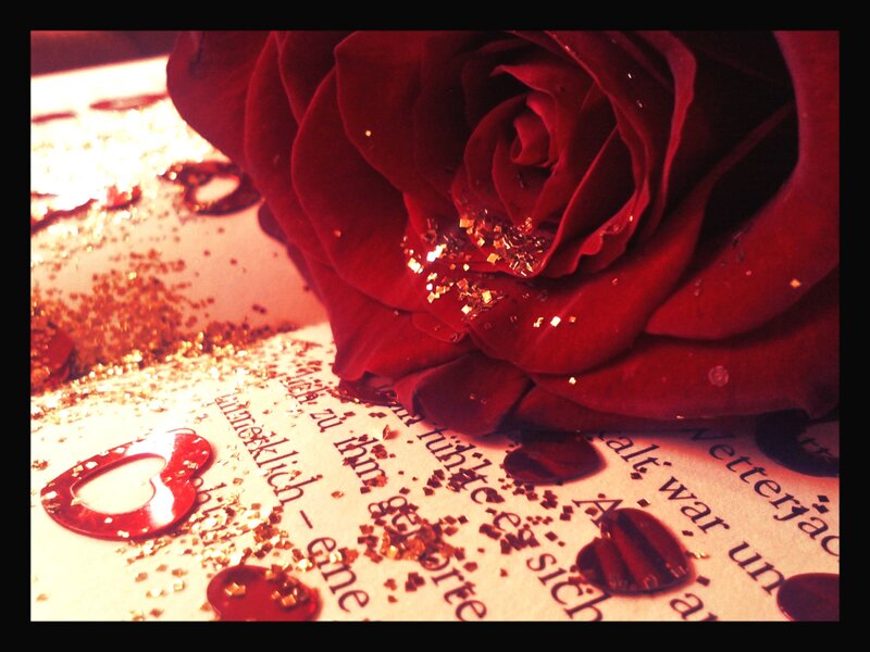 Red Rose on Paper — Romantic, Photograph