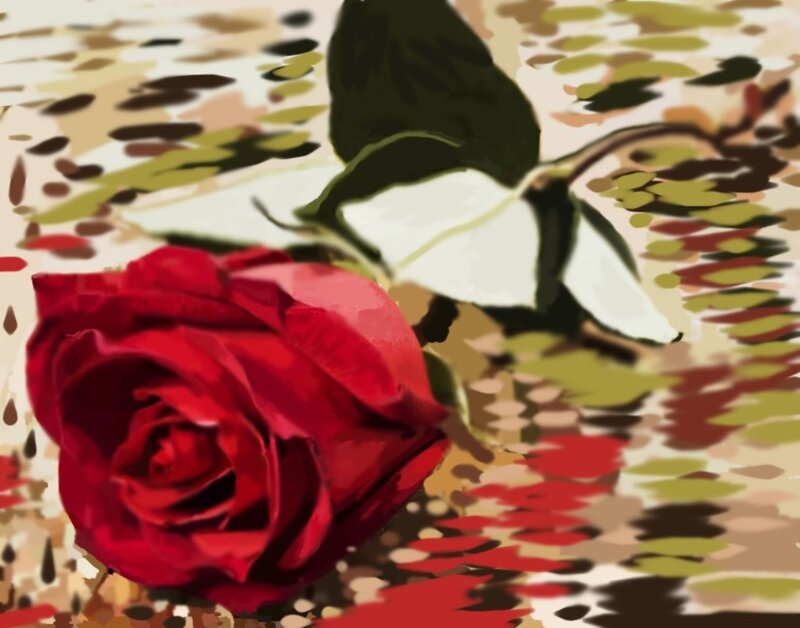 Red Rose on Patterned Surface