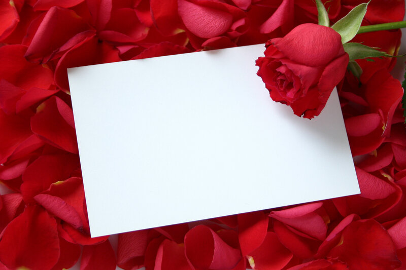 Red Rose on Petals
