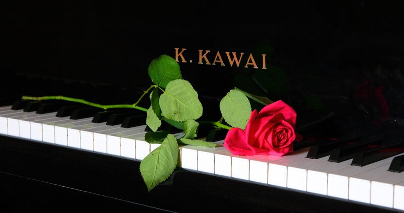 Red Rose on Piano — Black, Dramatic